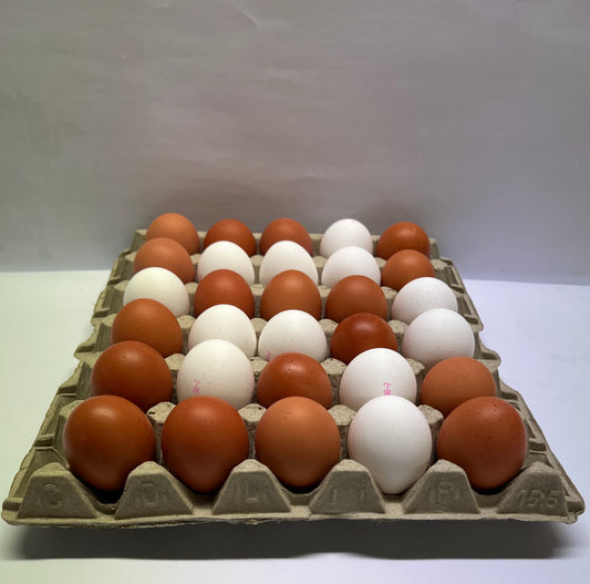 Frische Eier lose