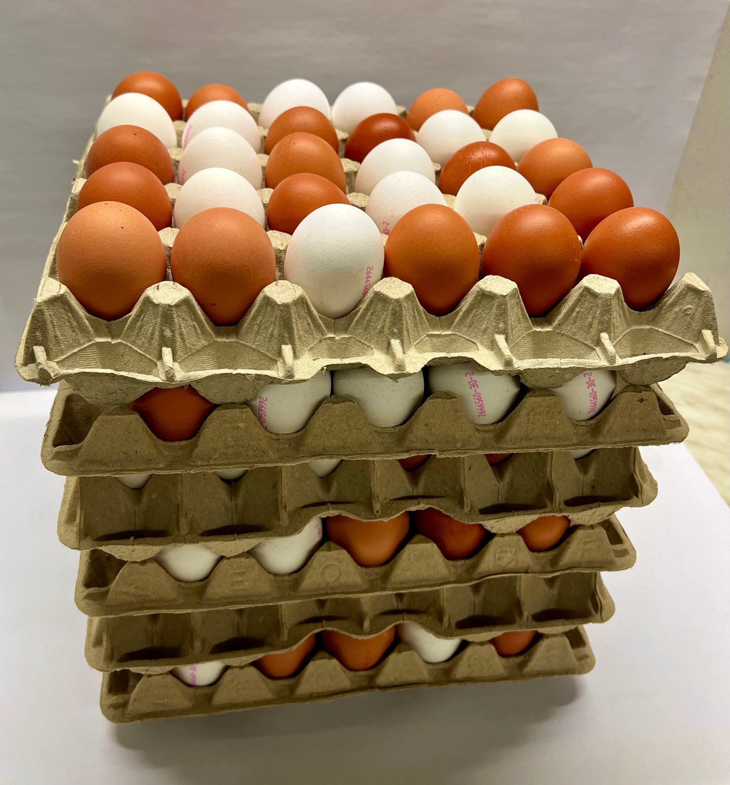 Frische Eier lose